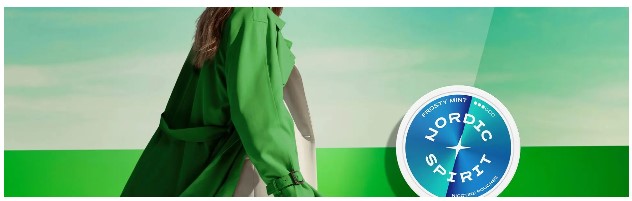 Nordic spirit banner 02